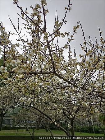 IMG20220123151624.jpg