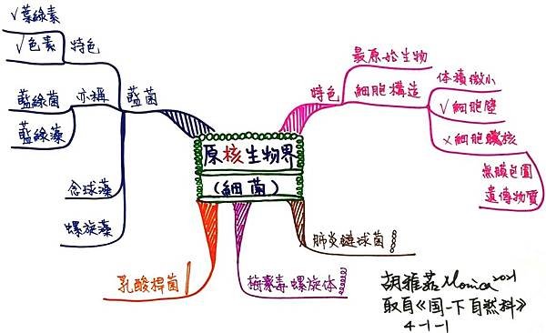 0517原核生物界(細菌).jpg