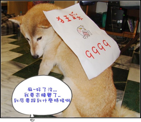 DSC00126.JPG