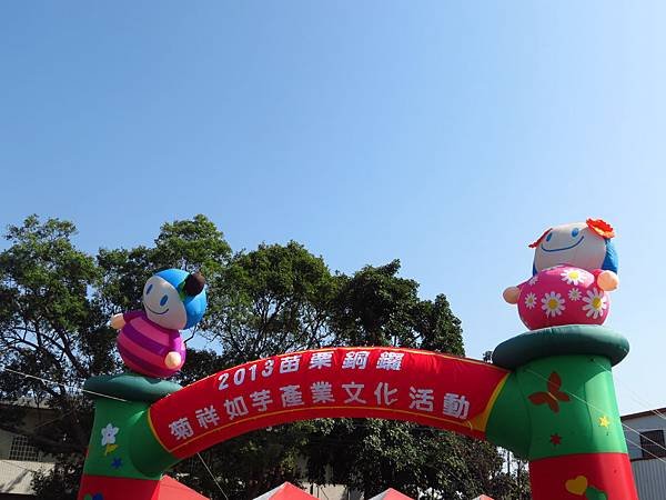 2013年 銅鑼杭菊展 (25).JPG