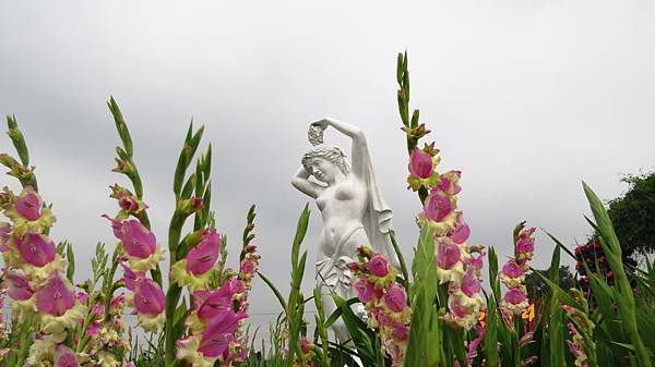 中社花市 后里一日遊 (15).JPG