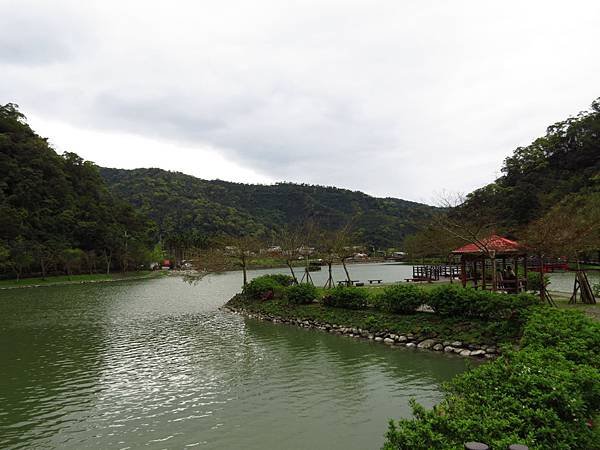 望龍埤 花田村 (5).JPG