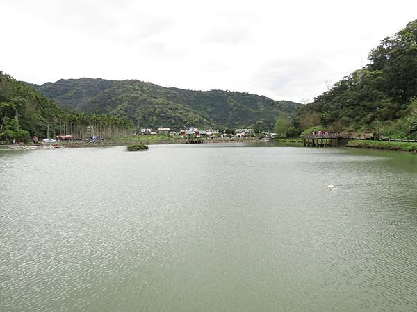 望龍埤 花田村 (12).JPG