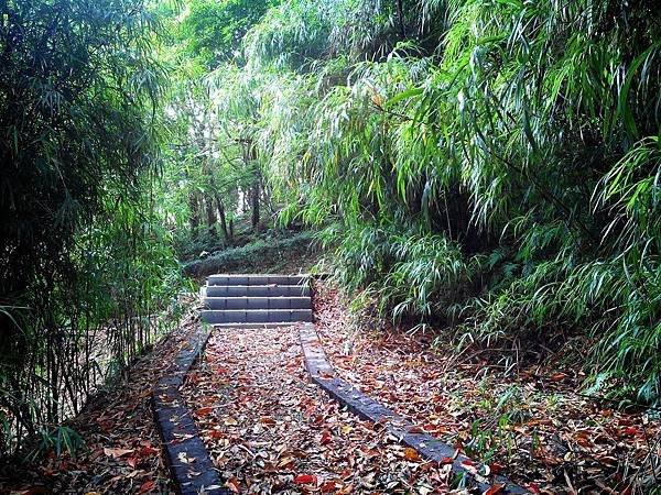 虎頭山公園爬山賞花 (2).jpg