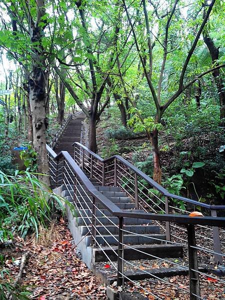 虎頭山公園爬山賞花 (4).jpg
