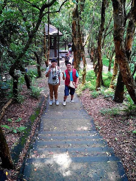 虎頭山公園爬山賞花 (14).jpg