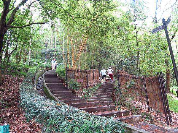 虎頭山公園爬山賞花 (24).JPG