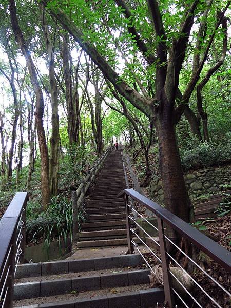虎頭山公園爬山賞花 (27).JPG