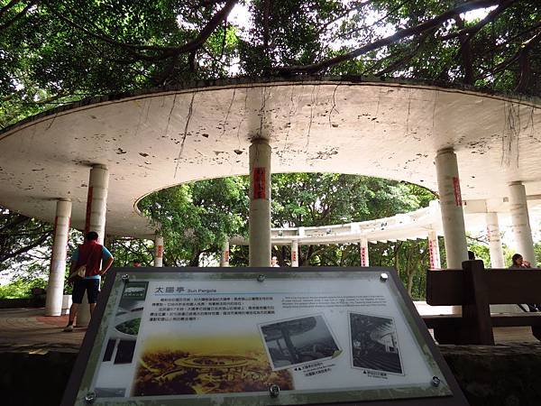 虎頭山公園爬山賞花 (38).JPG