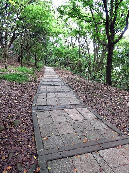 虎頭山公園爬山賞花 (41).JPG