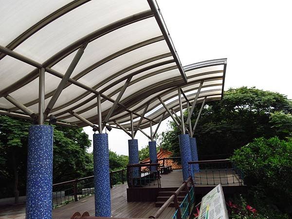 虎頭山公園爬山賞花 (47).JPG