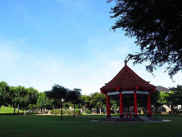 大溪埔頂公園 穗花棋盤腳花 (15).JPG