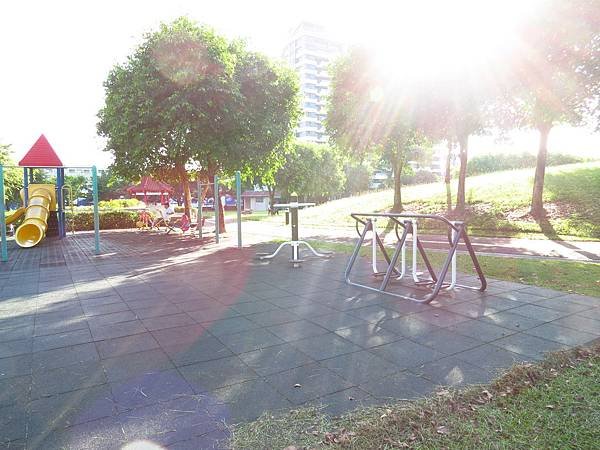 大溪埔頂公園 穗花棋盤腳花 (16).JPG