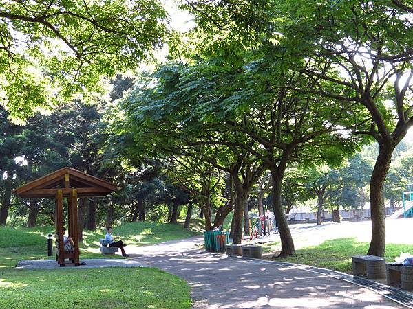 大溪埔頂公園 穗花棋盤腳花 (23).JPG