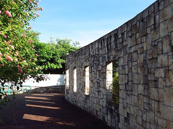 大溪埔頂公園 穗花棋盤腳花 (25).JPG