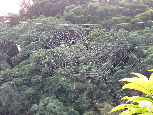三坑自然生態公園之亂槍打鳥 (7).JPG