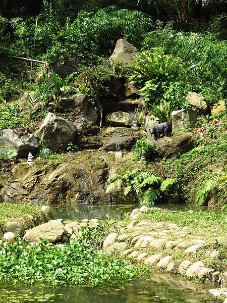 四寮溪生態步道 (9).JPG
