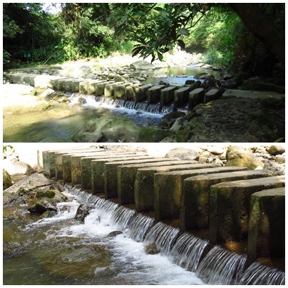 四寮溪生態步道 (31).jpg