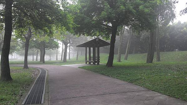 雲霧飄渺中的埔頂公園 (1).jpg