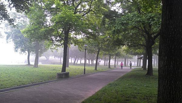 雲霧飄渺中的埔頂公園 (2).jpg