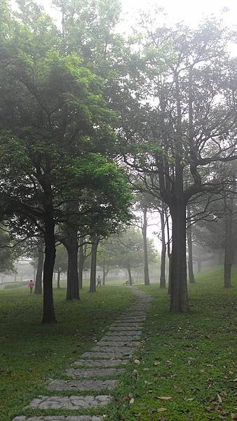 雲霧飄渺中的埔頂公園 (3).jpg