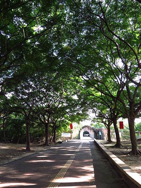 埔頂公園之穗花棋盤腳 (1).JPG
