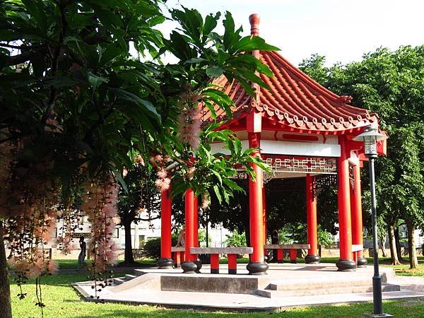 埔頂公園之穗花棋盤腳 (27).JPG
