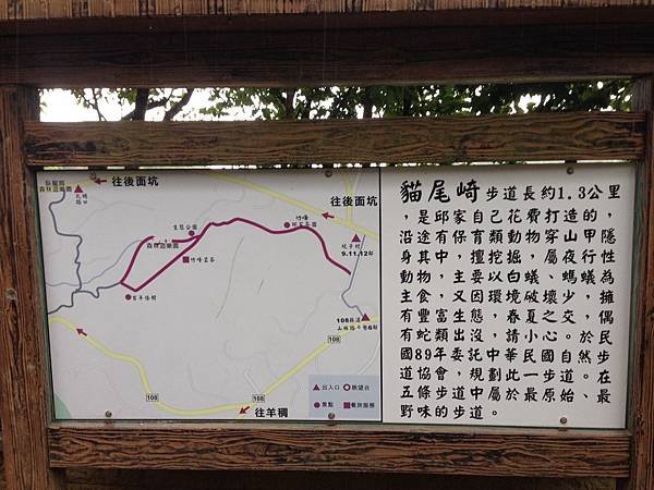 新月橋~工專路(逆騎) (12).jpg