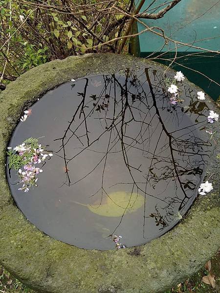 國旗屋 大溪 一日遊 (38).jpg