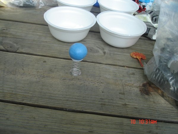 DSC09329.JPG