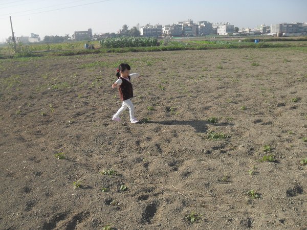 SDC11740.JPG