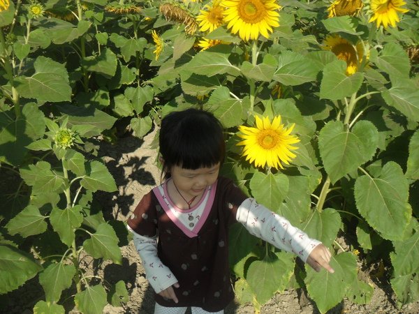 SDC11751.JPG
