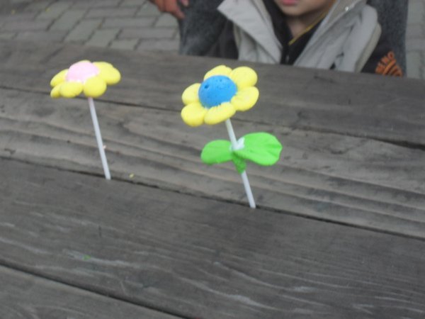 SDC12764.JPG