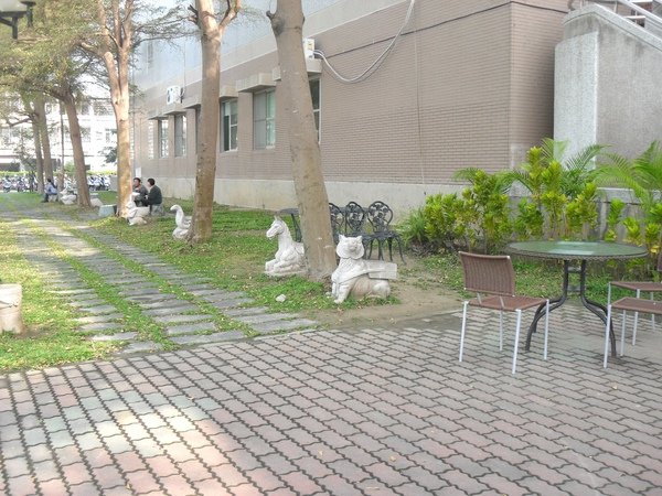 SDC13318.JPG