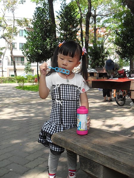 SDC16607.JPG