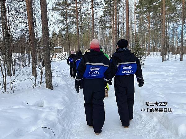 *(芬蘭極光)芬蘭旅遊/雪地桑拿馬車/哈士奇雪橇狗/聖誕老人