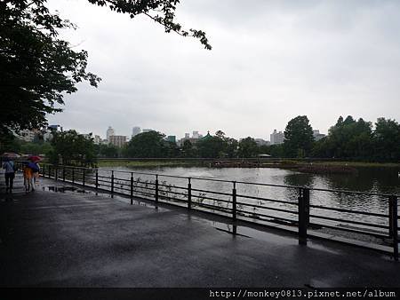P1040104.JPG