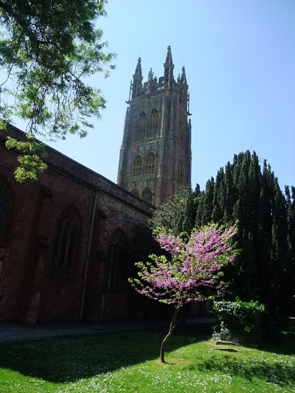 DSCF8229.JPG