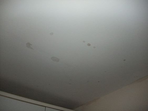DSCF6183.JPG