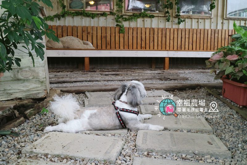 幸福農場23.gif