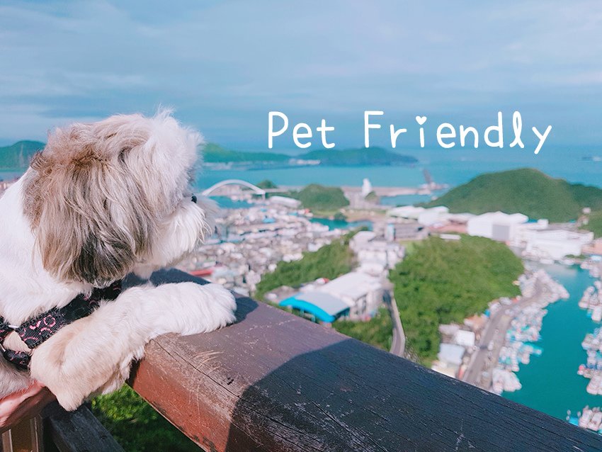 petfriendly02.jpg