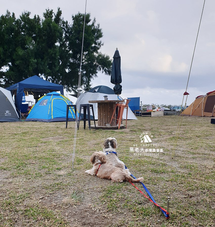 mbow6camping01.jpg