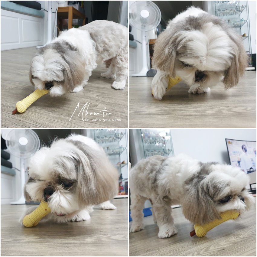 littlepoppet09.jpg