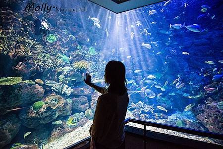 @國立屏東海洋生物博物館