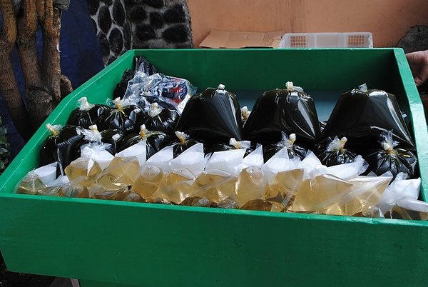 DSC_0222.JPG