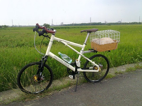 20100605121sb.jpg