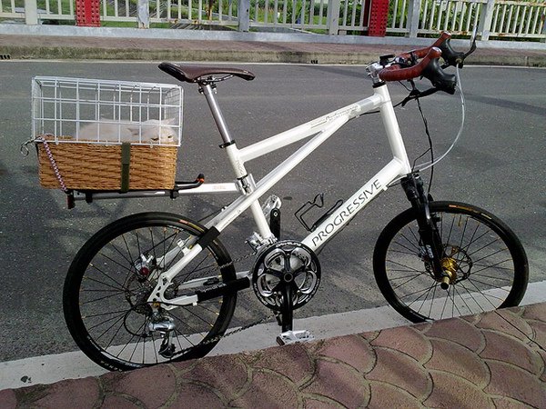 20100620126sb.jpg