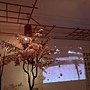 文化館花夢5.JPG