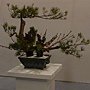 爭艷館 花藝競賽44.JPG