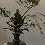 爭艷館 花藝競賽45.JPG